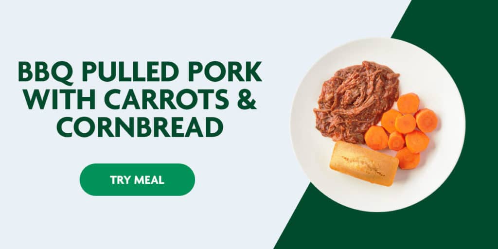 healthy kids meals