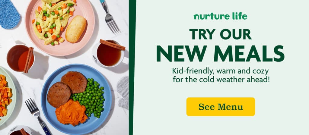 healthy meals for toddlers
