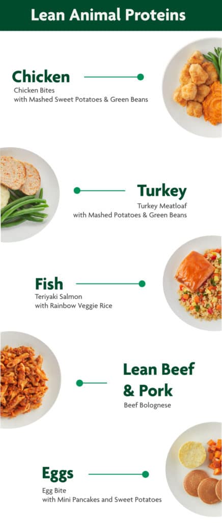 protein for kids