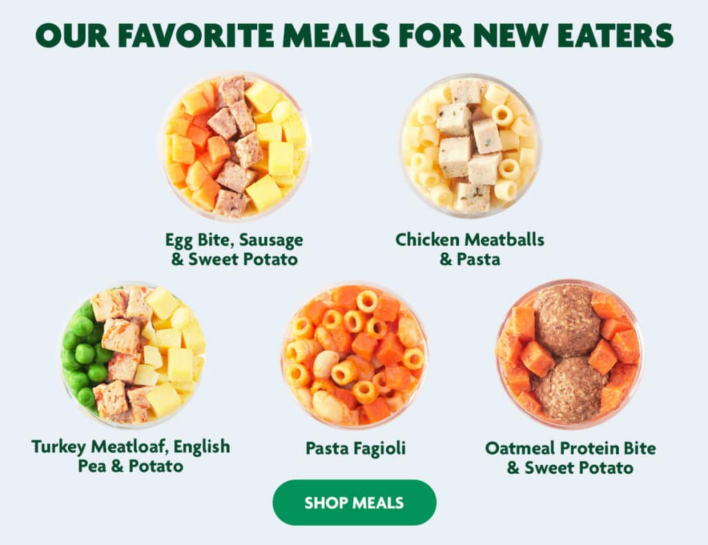 finger foods for new eaters 